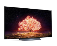 LG OLED55B13LA - 635941 - zdjęcie 3